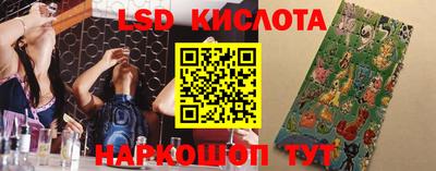 ПСИЛОЦИБИНОВЫЕ ГРИБЫ Заволжье