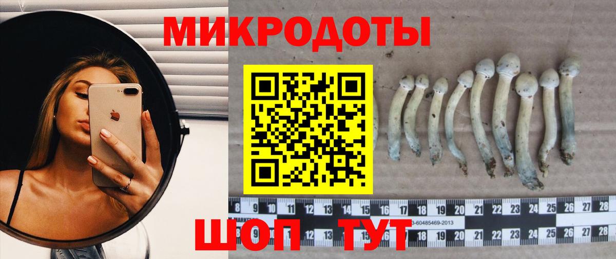 Галлюциногенные грибы мицелий Минеральные Воды