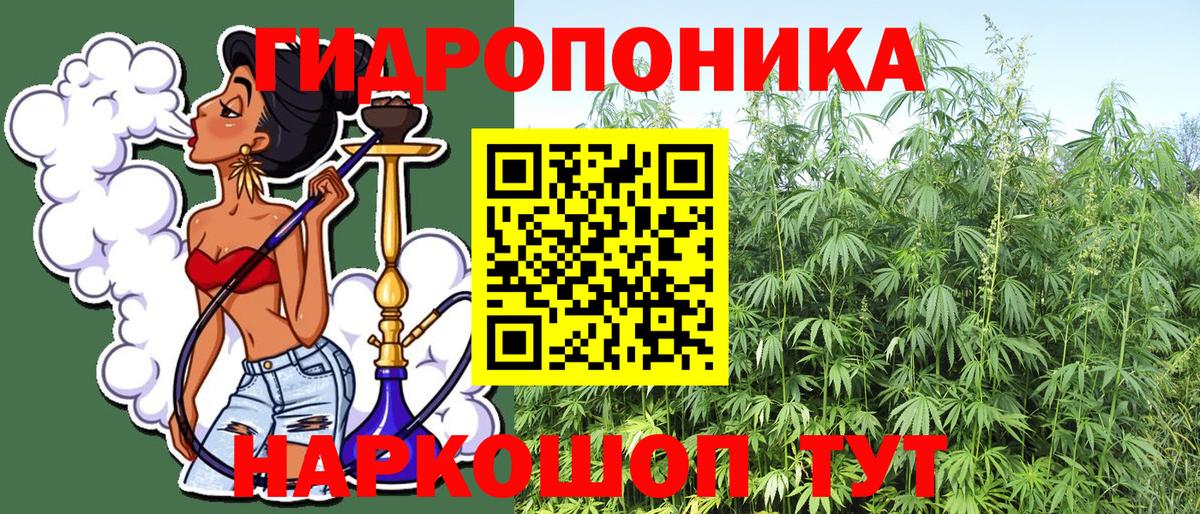 Бошки Шишки конопля Минеральные Воды